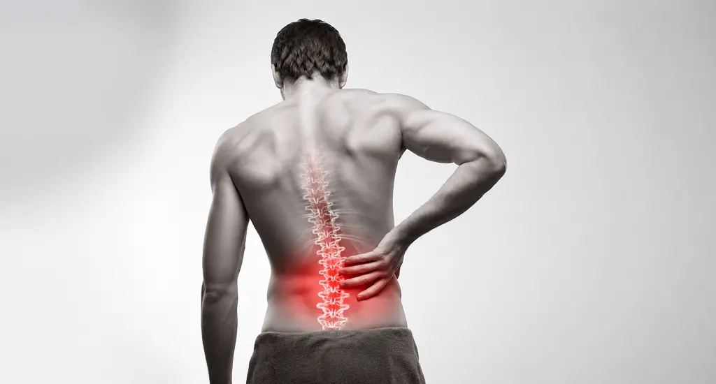 Red Light Therapy for Back Pain Really Work